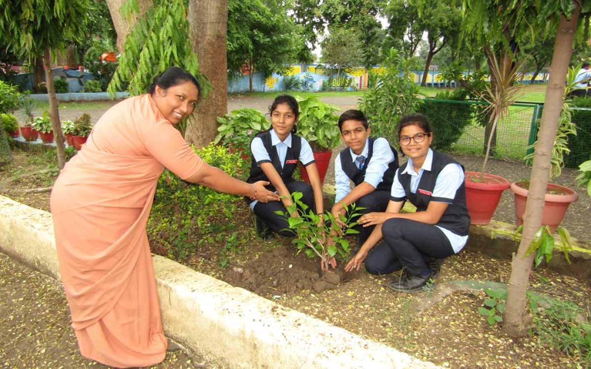 Van Mahotsav ( Tree Plantation Day)